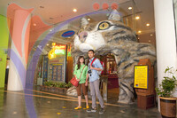 Cat Museum