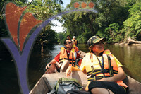 Kuala Koh