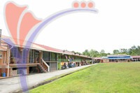 Homestay Kampung Belimbing