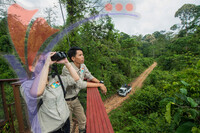 Tabin Wildlife Lookout Point, Sabah