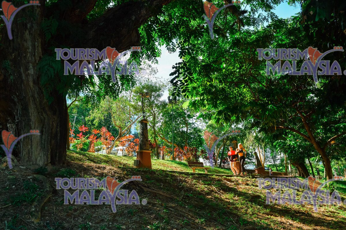 Full screen preview