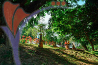 Jogging At Seremban Lake Garden, Seremban, Negeri Sembilan