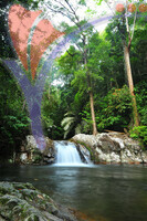 Lata Kekabu - Perak