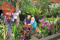 Butterfly Farm