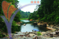 Air Terjun Lasir