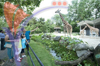 Zoo Negara