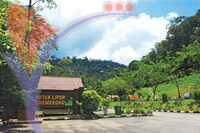 Hutan Lipur