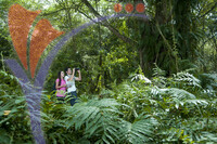 Nature Park
