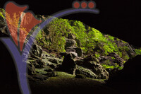View Inside Deer Cave in Gunung Mulu National Park
