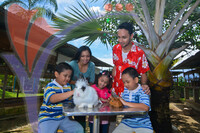 Pd Ostrich Farm