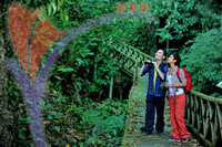 Niah Cave - Sarawak