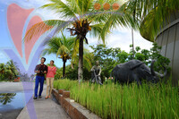 Muzium Padi