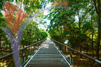 Taman Botani (botanical Garden) - Putrajaya