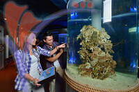 Marine Museum
