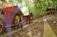 Gunung Ledang