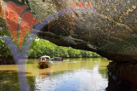Kilim River Mangrove Tour, Langkawi, Kedah
