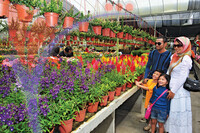 Cactus Farm