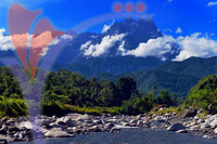 Mount Kinabalu View From Polumpung