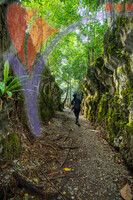 Paku Rock Maze Garden