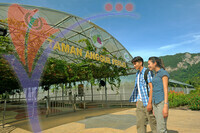 Ladang Anggur