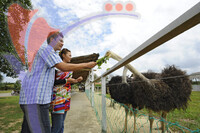 Uk Agro Farm