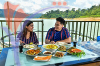 Tasik Pedu