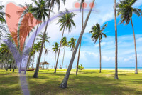 Kampung Mangkok
