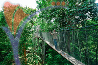 Canopy Walk Guar Chenderai , Perlis