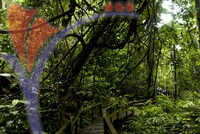 Eco & Agro Tourism - Kubah National Park Sarawak