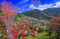 Kundasang Valley