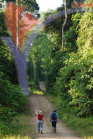 Danum Valley