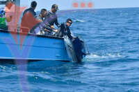 The Royal Pahang Billfish International Challenge