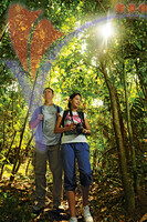 Jungle Tracking