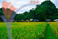 Kampung Ujung Bukit , Perlis