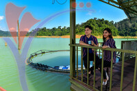 Tasik Pedu