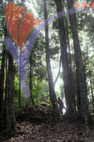 Gunung Stong