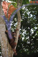 Melaka Zoo