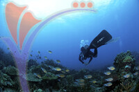 Tioman Island - Pahang