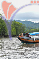 Kilim River Mangrove Tour, Langkawi, Kedah