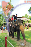 Kuala Gandah