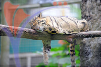Melaka Zoo