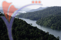 Royal Belum National Park