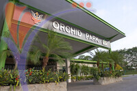 Orchid Garden