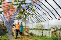 Kahang Organic Rice Farm