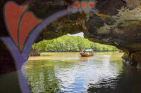 Kilim River Mangrove Tour, Langkawi, Kedah