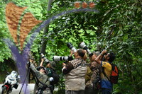 Fraser's Hill International Bird Race