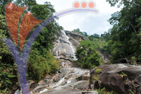 Gunung Stong