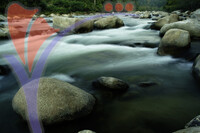 Royal Belum National Park