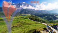 Dairy Farm, Kundasang , Sabah