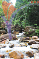 Hutan Lipur